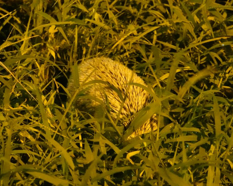 Viewing photos→2024→2024-08-25→114