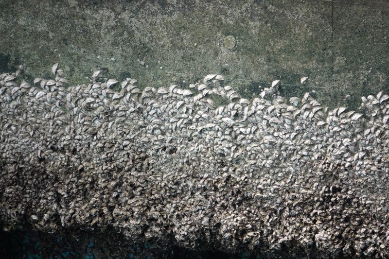 Viewing photos→2024→2024-08-30→008