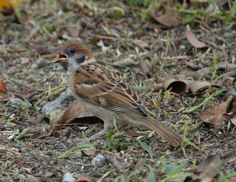 Viewing photos→2024→2024-08-30→012