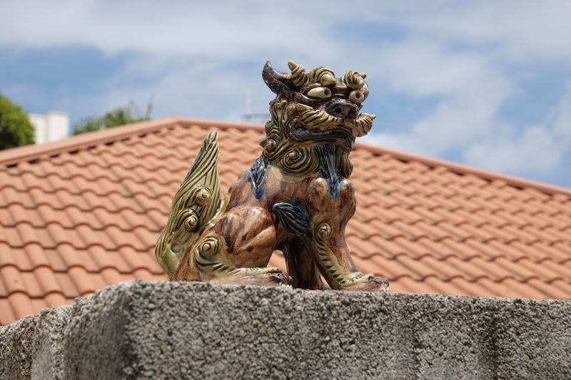 Viewing photos→2024→2024-08-30→013