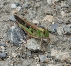 014.jpeg - 2024:08:31 03:35:15