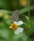 016.jpeg - 2024:08:31 03:38:22