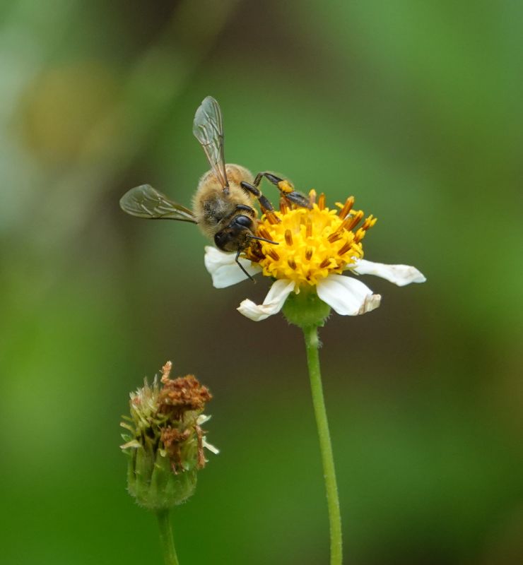 Viewing photos→2024→2024-08-30→017