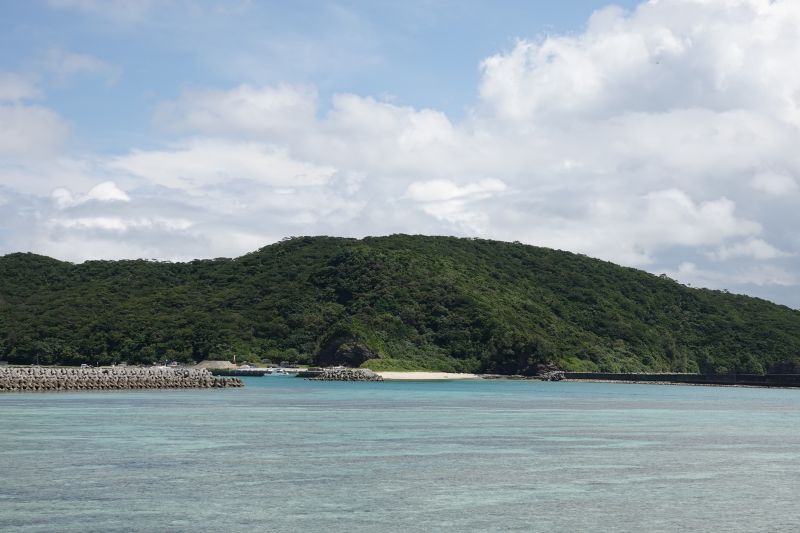 Viewing photos→2024→2024-08-30→019