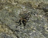 020.jpeg - 2024:08:31 03:55:24