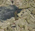 021.jpeg - 2024:08:31 03:55:46