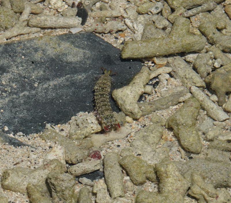 Viewing photos→2024→2024-08-30→021