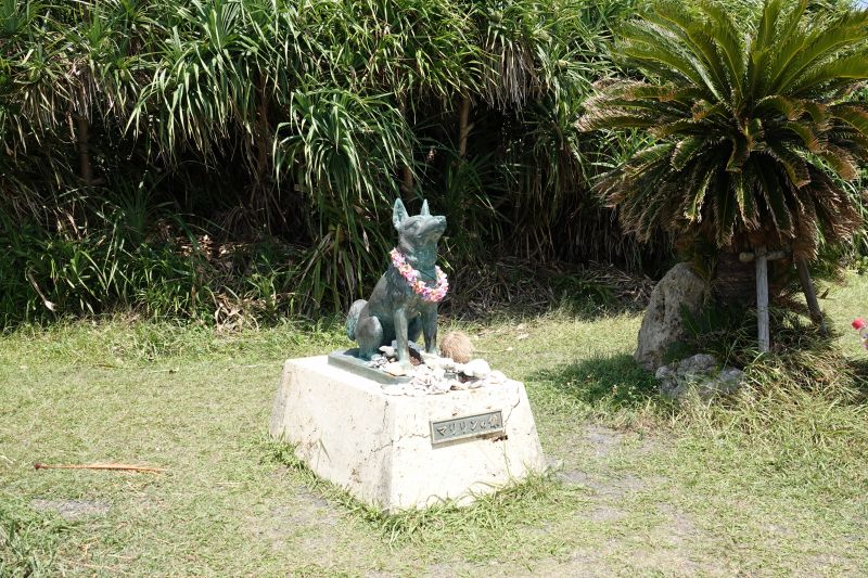 Viewing photos→2024→2024-08-30→024