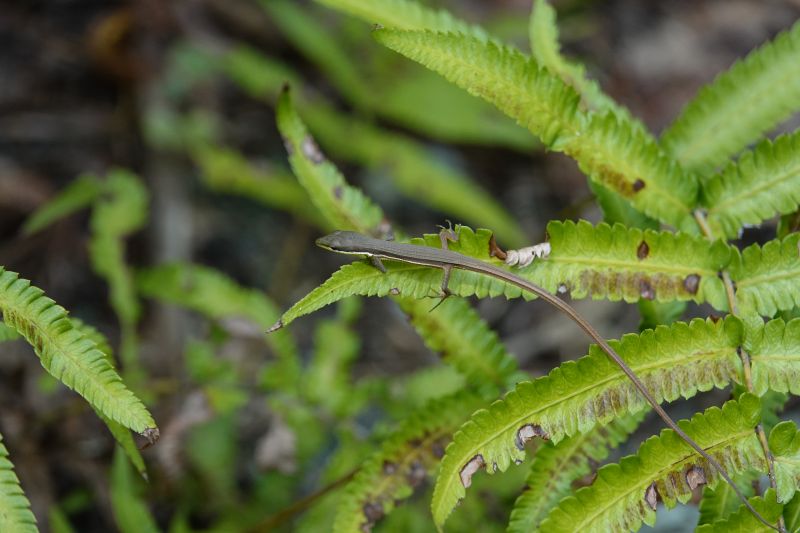 Viewing photos→2024→2024-08-30→026