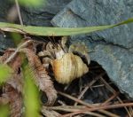 027.jpeg - 2024:08:31 04:12:37