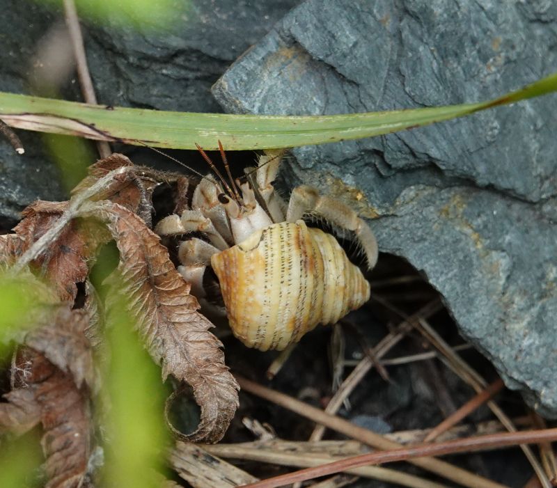 Viewing photos→2024→2024-08-30→027