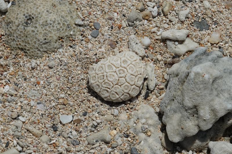 Viewing photos→2024→2024-08-30→030