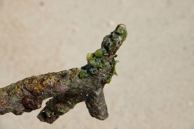 Viewing photos→2024→2024-08-30→043