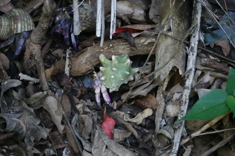 Viewing photos→2024→2024-08-30→044