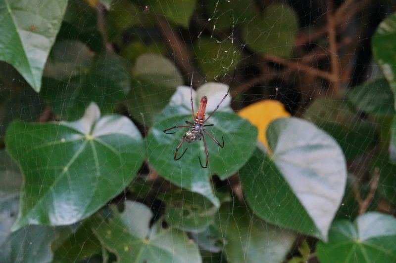 Viewing photos→2024→2024-08-30→046