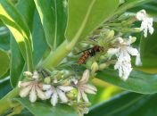 047.jpeg - 2024:08:31 06:32:16