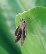 049.jpeg - 2024:08:31 06:40:43