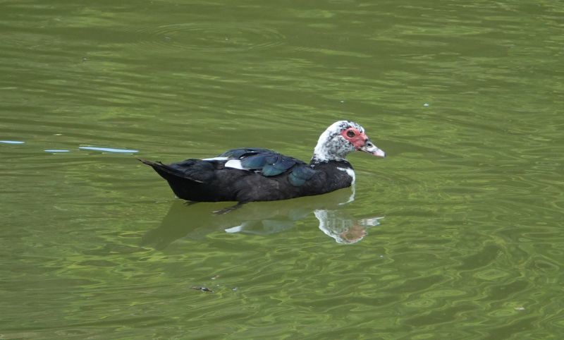 Viewing photos→2024→2024-08-30→077