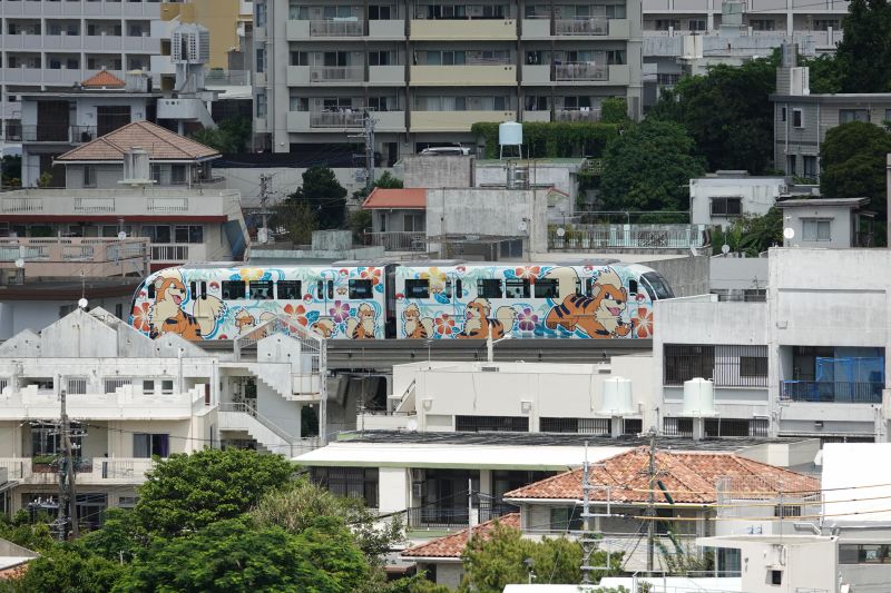 Viewing photos→2024→2024-08-30→091