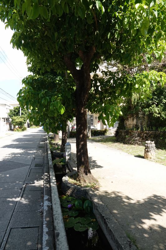 Viewing photos→2024→2024-08-30→102