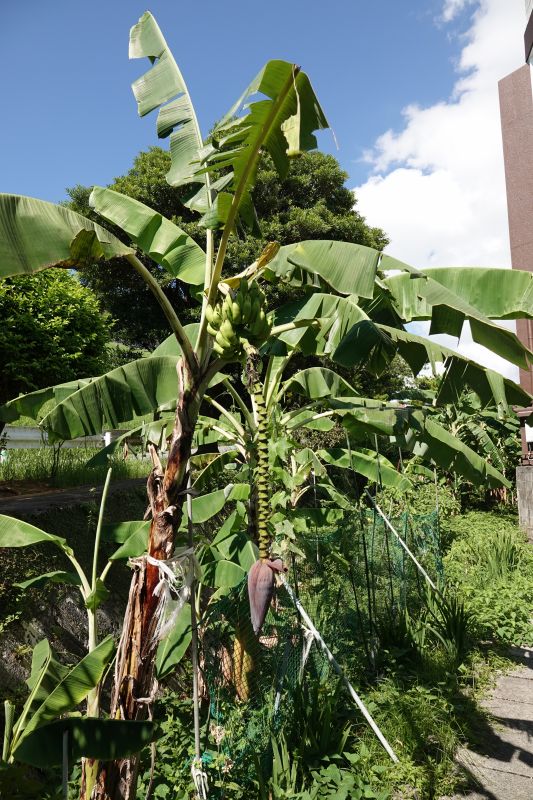 Viewing photos→2024→2024-08-30→103