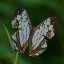 104.jpeg - 2024:09:01 06:09:24