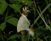 107.jpeg - 2024:09:01 06:14:48