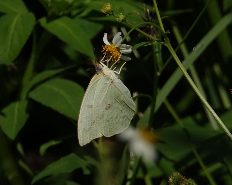 Viewing photos→2024→2024-08-30→107