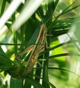 110.jpeg - 2024:09:01 06:18:04