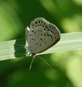 113.jpeg - 2024:09:01 06:21:47