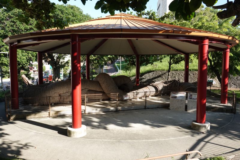 Viewing photos→2024→2024-08-30→137