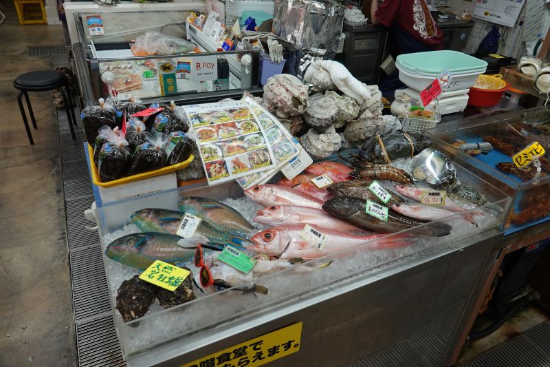 Viewing photos→2024→2024-08-30→157