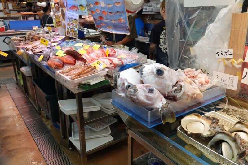 Viewing photos→2024→2024-08-30→160