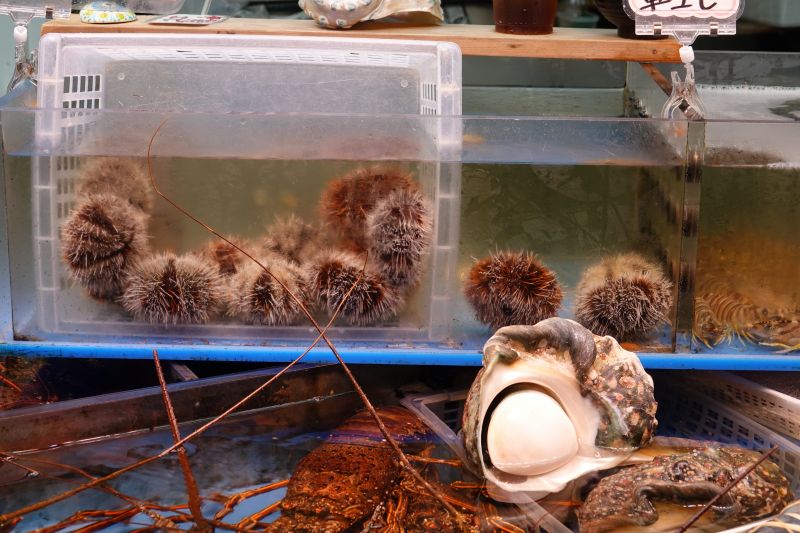 Viewing photos→2024→2024-08-30→165