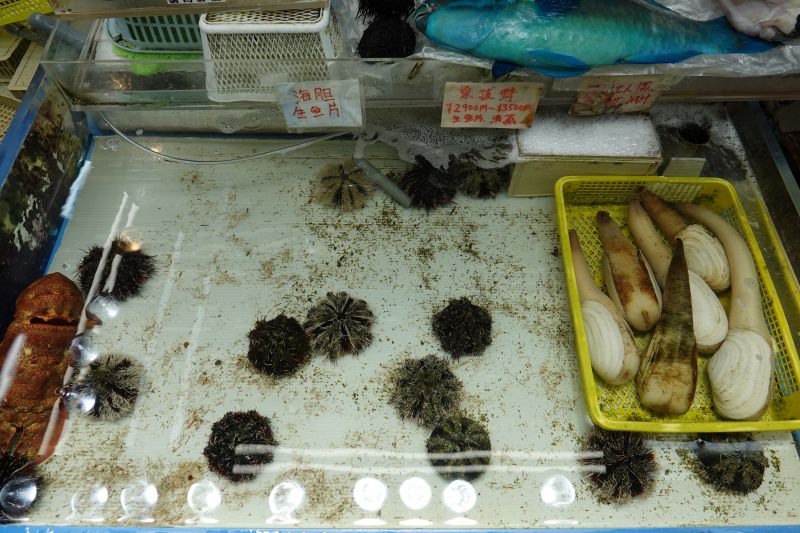 Viewing photos→2024→2024-08-30→168