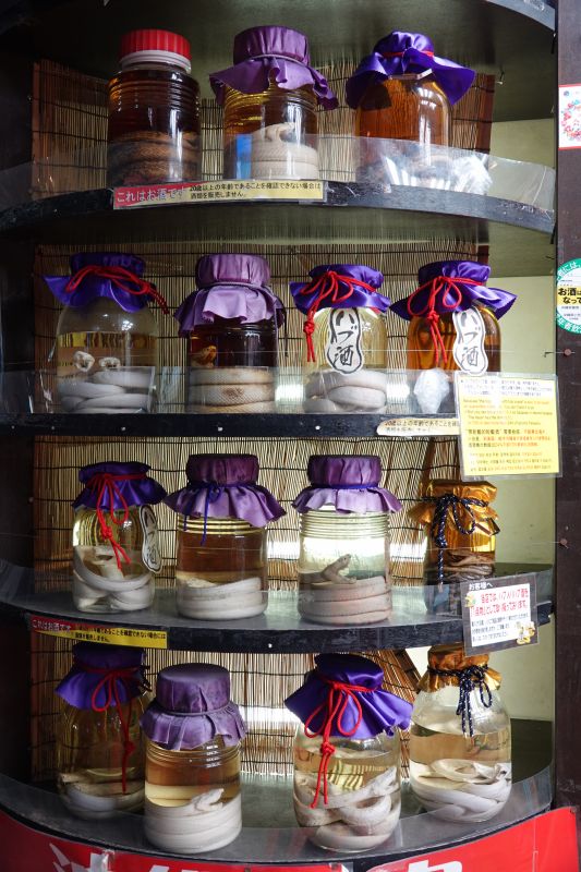 Viewing photos→2024→2024-08-30→179