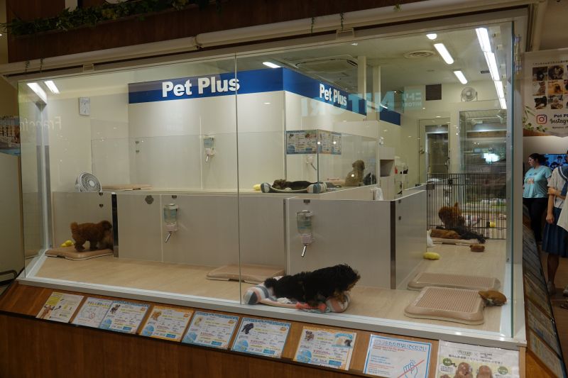 Viewing photos→2024→2024-08-30→197