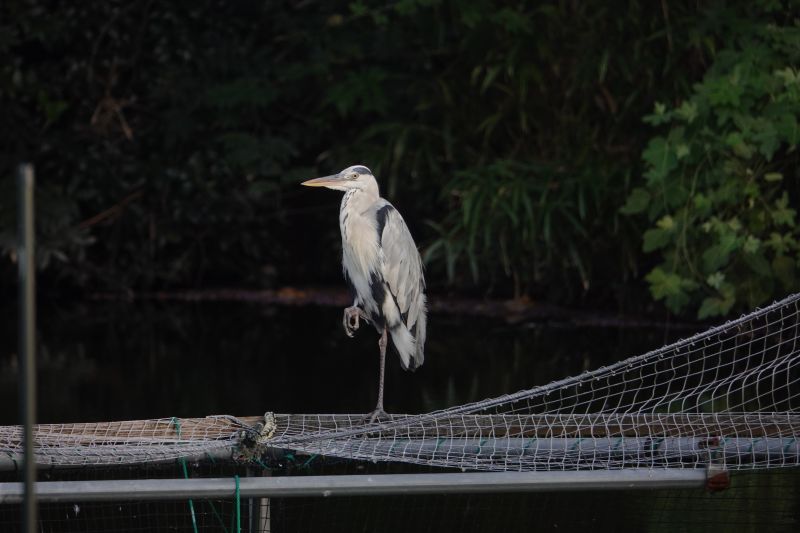 Viewing photos→2024→2024-09-07→03