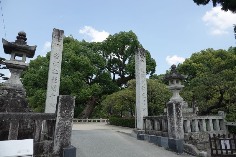 Viewing photos→2024→2024-09-07→26