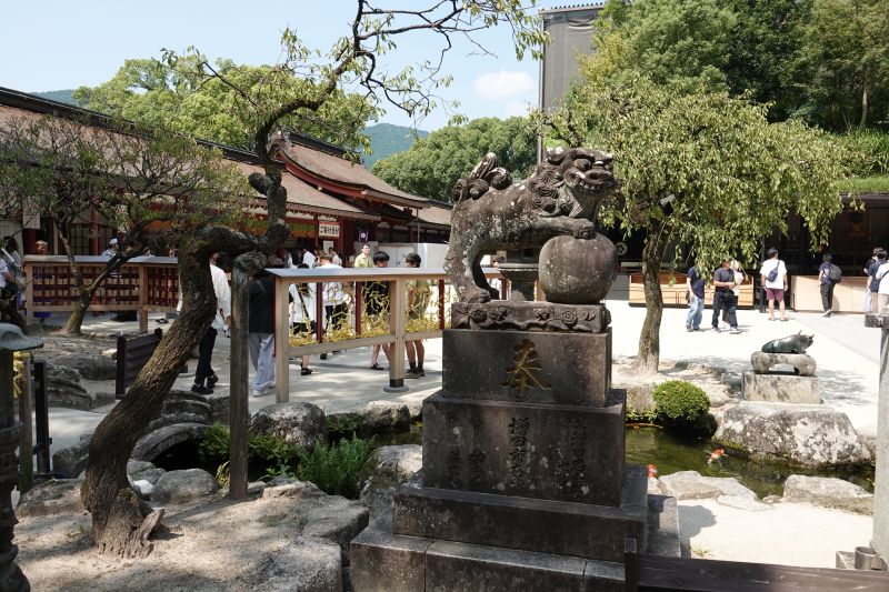 Viewing photos→2024→2024-09-07→47