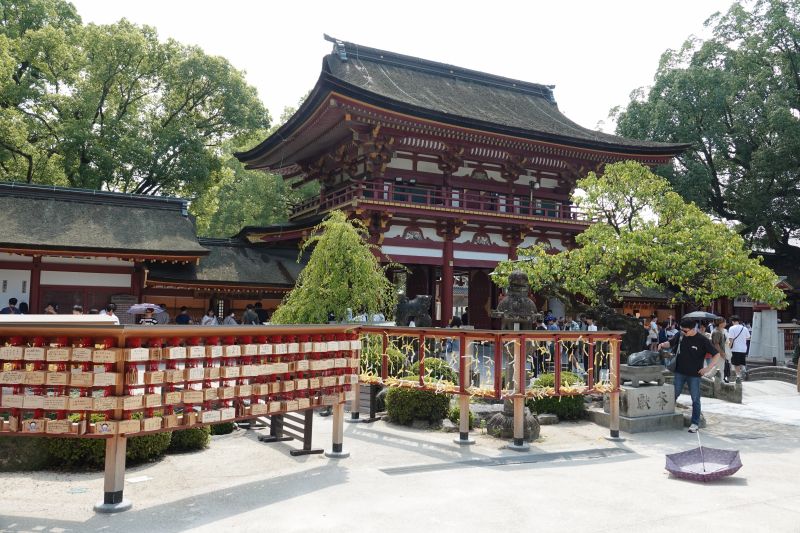 Viewing photos→2024→2024-09-07→50