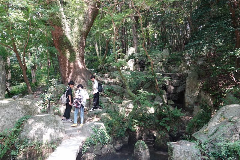 Viewing photos→2024→2024-09-07→51