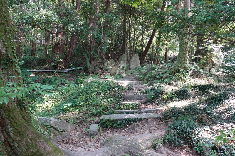 Viewing photos→2024→2024-09-07→53