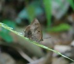 54.jpeg - 2024:09:08 04:31:39