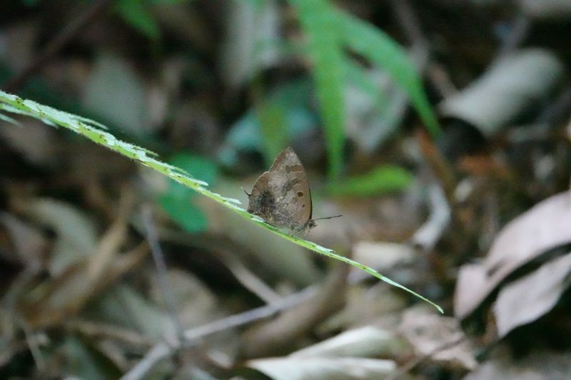 Viewing photos→2024→2024-09-07→54