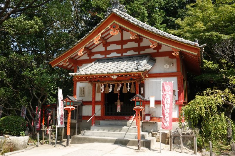 Viewing photos→2024→2024-09-07→59