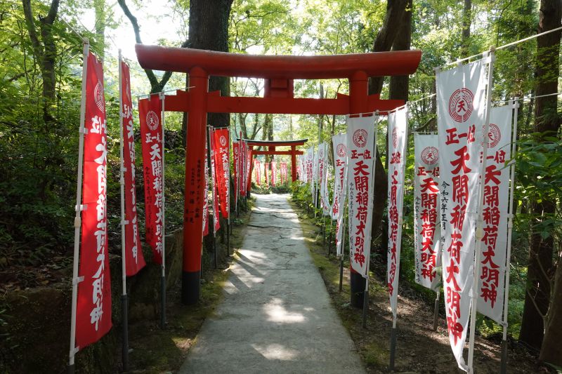 Viewing photos→2024→2024-09-07→61