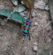 62.jpeg - 2024:09:08 05:08:10