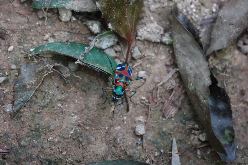 Viewing photos→2024→2024-09-07→62