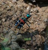 63.jpeg - 2024:09:08 05:08:47